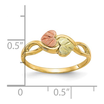 10K Tri-Color Gold Black Hills Two Heart Ring – view 5