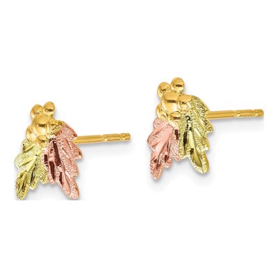 10k Tri-Color Black Hills Gold Grape Earrings – view 3