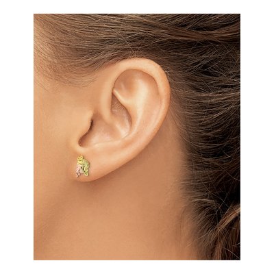 10k Tri-Color Black Hills Gold Grape Earrings – view 4