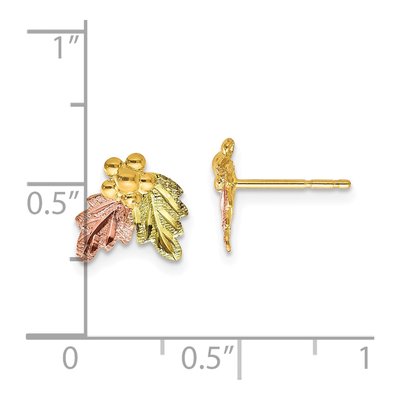 10k Tri-Color Black Hills Gold Grape Earrings – view 5