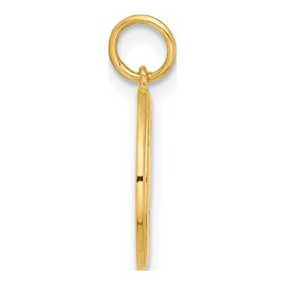 10K Yellow Gold CZ Good Luck Medallion Charm – view 3