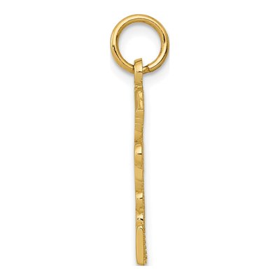 10K Yellow Gold RPN Nurse Pendant – view 3