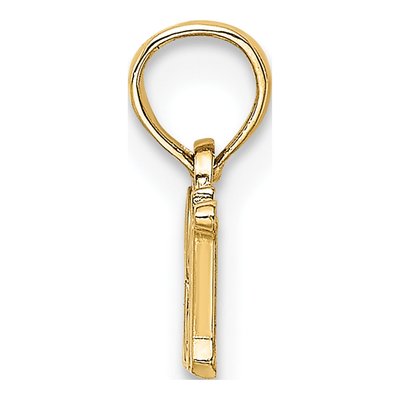 10K Yellow Gold RN Themed Pendant – view 3