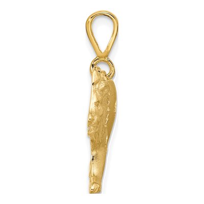 10K Yellow Gold Lion Pendant – view 3