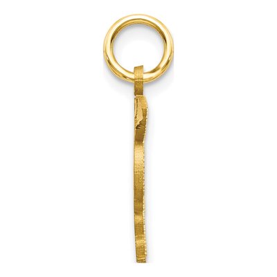 10K Yellow Gold MD Doctor of Medicine Charm – view 3