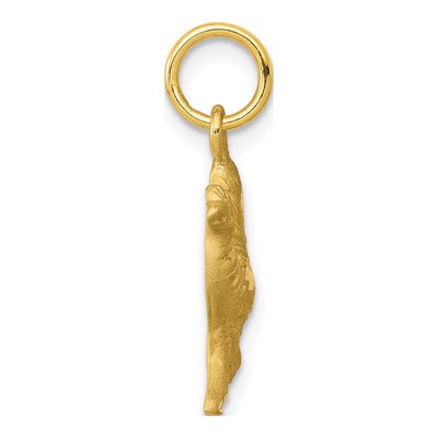 10K Yellow Gold Diamond-Cut Camel Pendant – view 3