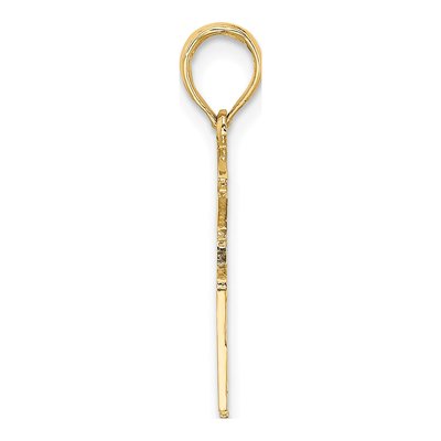 10K Yellow Gold RN Nurse Pendant – view 3