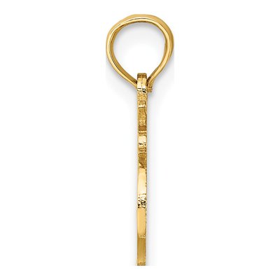 10K Yellow Gold LEO Zodiac Pendant – view 3