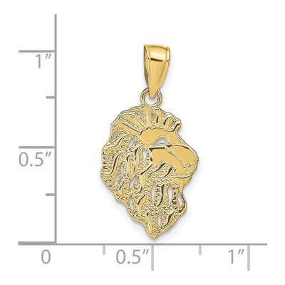 10K Yellow Gold Lion Head Pendant – view 4