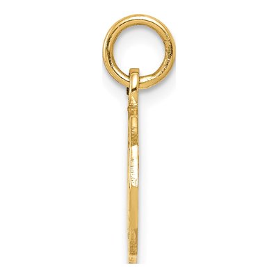 10K Yellow Gold Baptism Charm – view 4