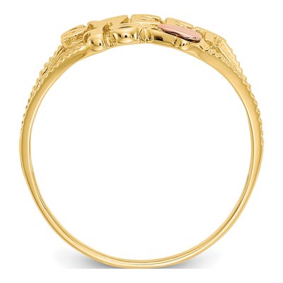 10K Two-Tone Gold Sweet 15-Heart Ring – view 2