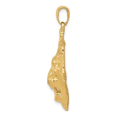 10K Yellow Gold Large Lion Head Pendant – view 3