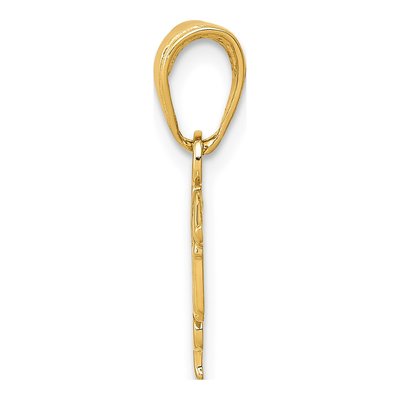 10K Yellow Gold LPN Symbol Pendant – view 3