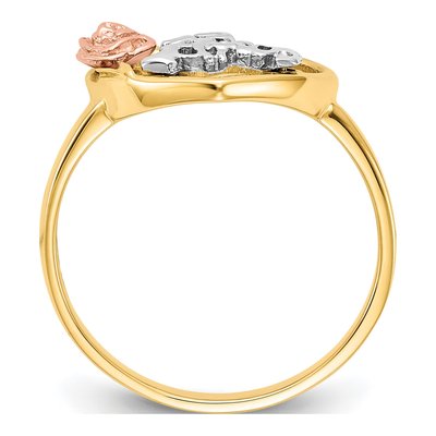 10K Two-Tone Gold ANOS Quinceaera Ring – view 2