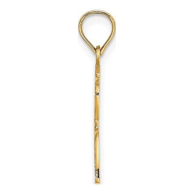 10K Yellow Gold Male Graduation Pendant – view 3