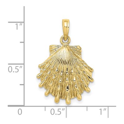 10K Yellow Gold Lions Paw Shell Pendant – view 4