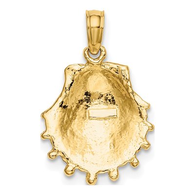 10K Yellow Gold Lions Paw Shell Pendant – view 5