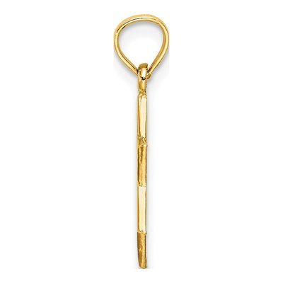 10K Yellow Gold Star of David Charm – view 3