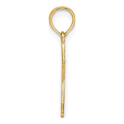 10K Yellow Gold Star of David Charm – view 3