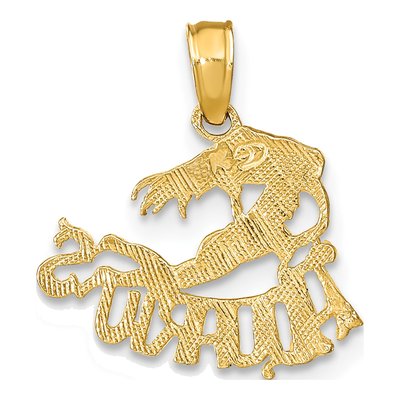 10K Yellow Gold Aquarius Zodiac Pendant – view 4