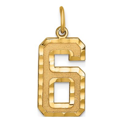 10K Yellow Gold Diamond-Cut Number 6 Charm
