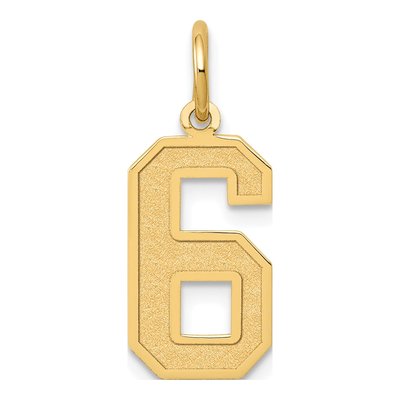 10K Yellow Gold Number 6 Charm