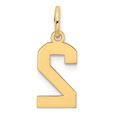 10K Yellow Gold Small Number 2 Charm – view 5