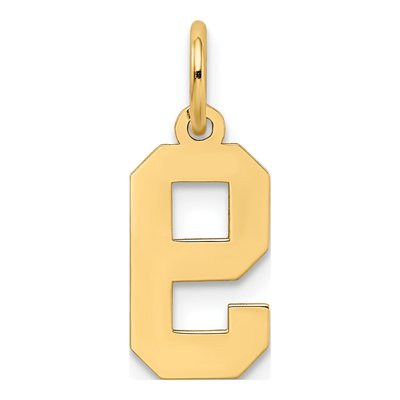 10K Yellow Gold Small Number 9 Pendant – view 5