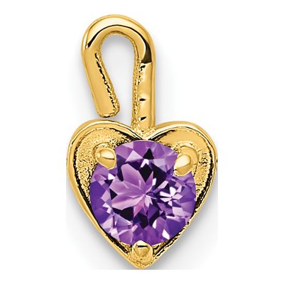 10K Yellow Gold February Birthstone Heart Charm