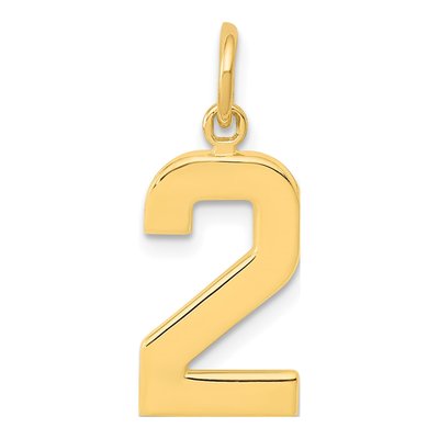 10K Yellow Gold Number 2 Charm