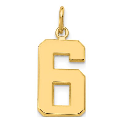 10K Yellow Gold Number 6 Charm