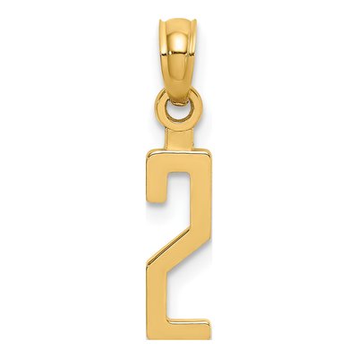 10K Yellow Gold Small Block Number 2 Charm