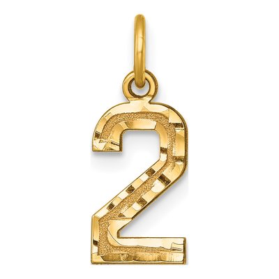 10K Yellow Gold Diamond-Cut Number 2 Charm