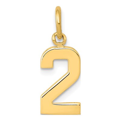 10K Yellow Gold Small Number 2 Pendant