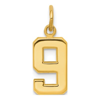 10K Yellow Gold Small Number 9 Pendant