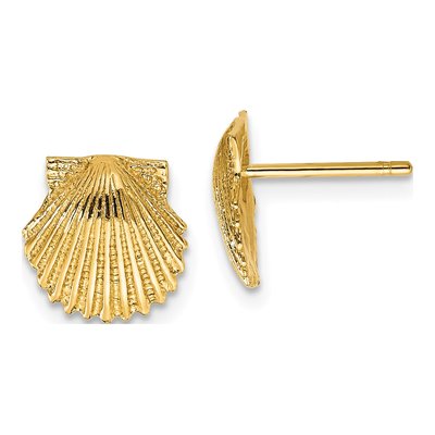 10K Yellow Gold Scallop Shell Stud Earrings
