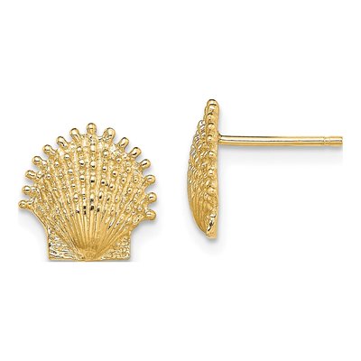 10K Yellow Gold Beaded Scallop Shell Stud Earrings