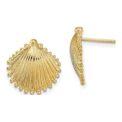 10K Yellow Gold Scallop Shell Stud Earrings