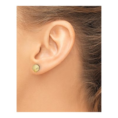 10K Yellow Gold Scallop Shell Stud Earrings – view 4