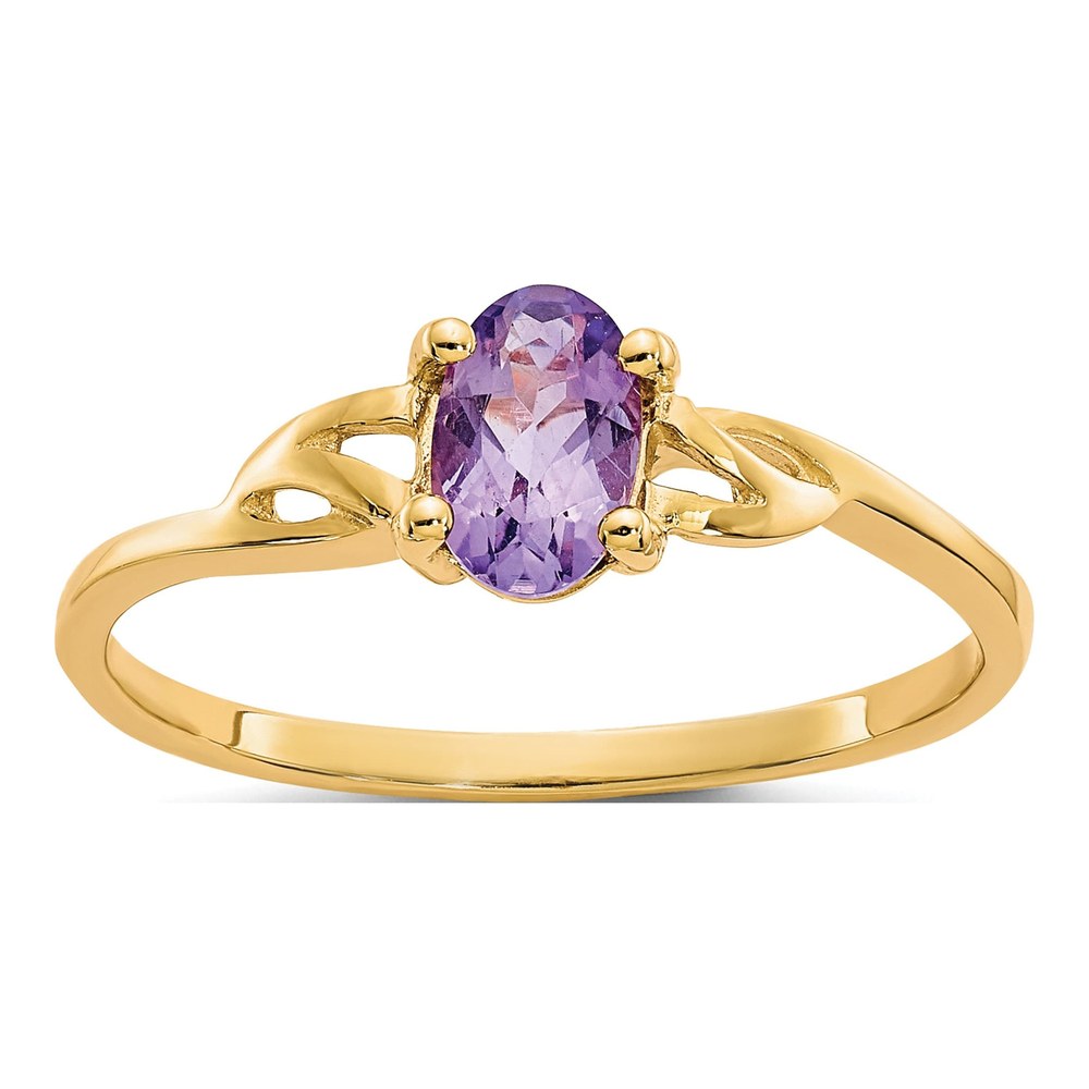10K Yellow Gold Amethyst Birthstone Ring