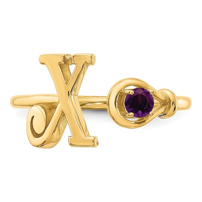 10K Yellow Gold Birthstone Letter X Ring – view 5