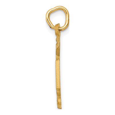 10K Yellow Gold Nurse RN Caduceus Charm – view 3