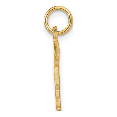 10K Yellow Gold Nurse RN Pendant – view 3
