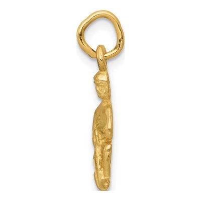 10K Yellow Gold Aquarius Zodiac Pendant – view 3