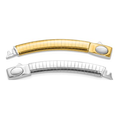 14K Two-Tone Omega Extender, 2 In