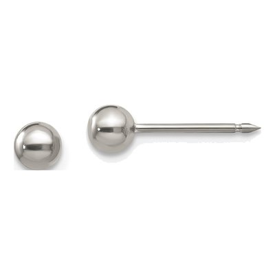 Titanium Ball Stud Earrings