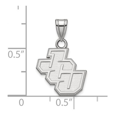 John Carroll University 10K White Gold Small Pendant – view 2