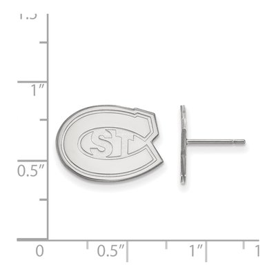 St. Cloud State University 10K White Gold Small Stud Earrings – view 2