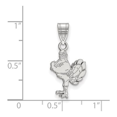 Virginia Tech 10K White Gold Hokiebird Medium Pendant – view 2