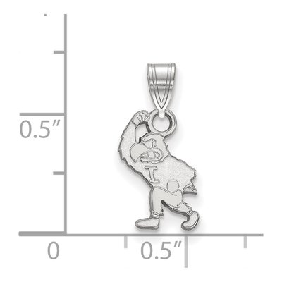 University of Iowa 10K White Gold Hawk Mascot Small Pendant – view 2